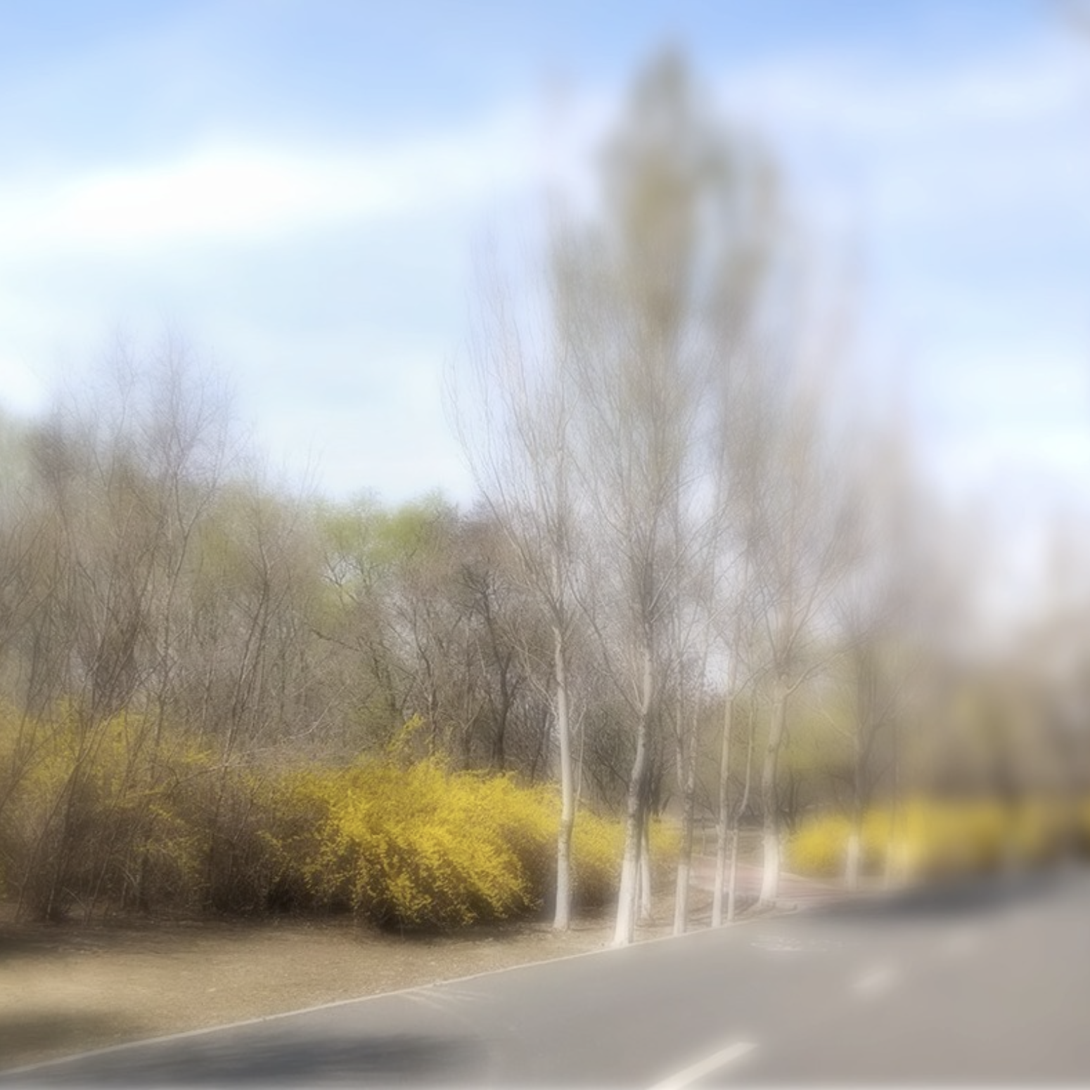 Dreamy Blur 景深效果